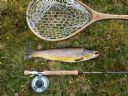 A nice 2.5 lbs Shetland Trout caught by Campbell Nicolson July 2008