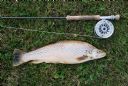 3lbs 10oz Loch Watten Trout Caught by Neil Clyne 26th Sept 09