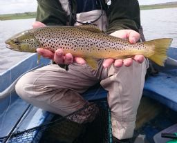 Caithness Lochs 2015 Photo