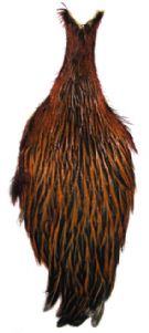 Shannon Hen Necks #1