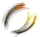 Chinese Wild Boar Bristles