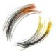 Chinese Wild Boar Bristles