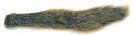 Fox Squirrel Tails